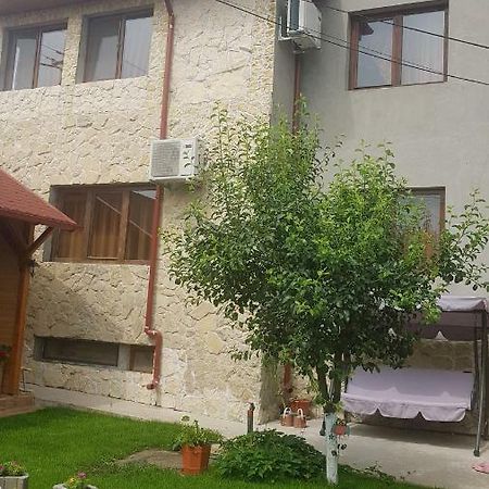 Hotel Casa Andrei Techirghiol Exterior foto