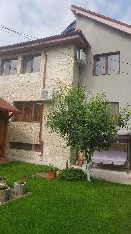 Hotel Casa Andrei Techirghiol Exterior foto